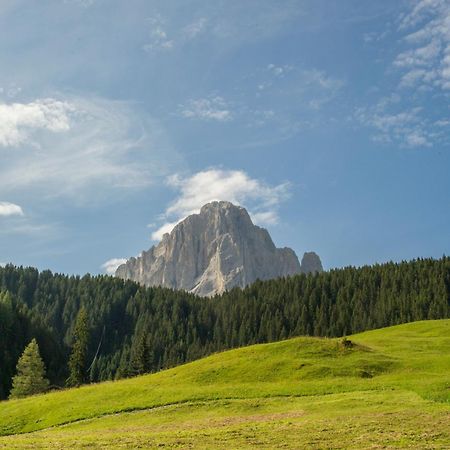 Villa Insam Selva di Val Gardena Esterno foto