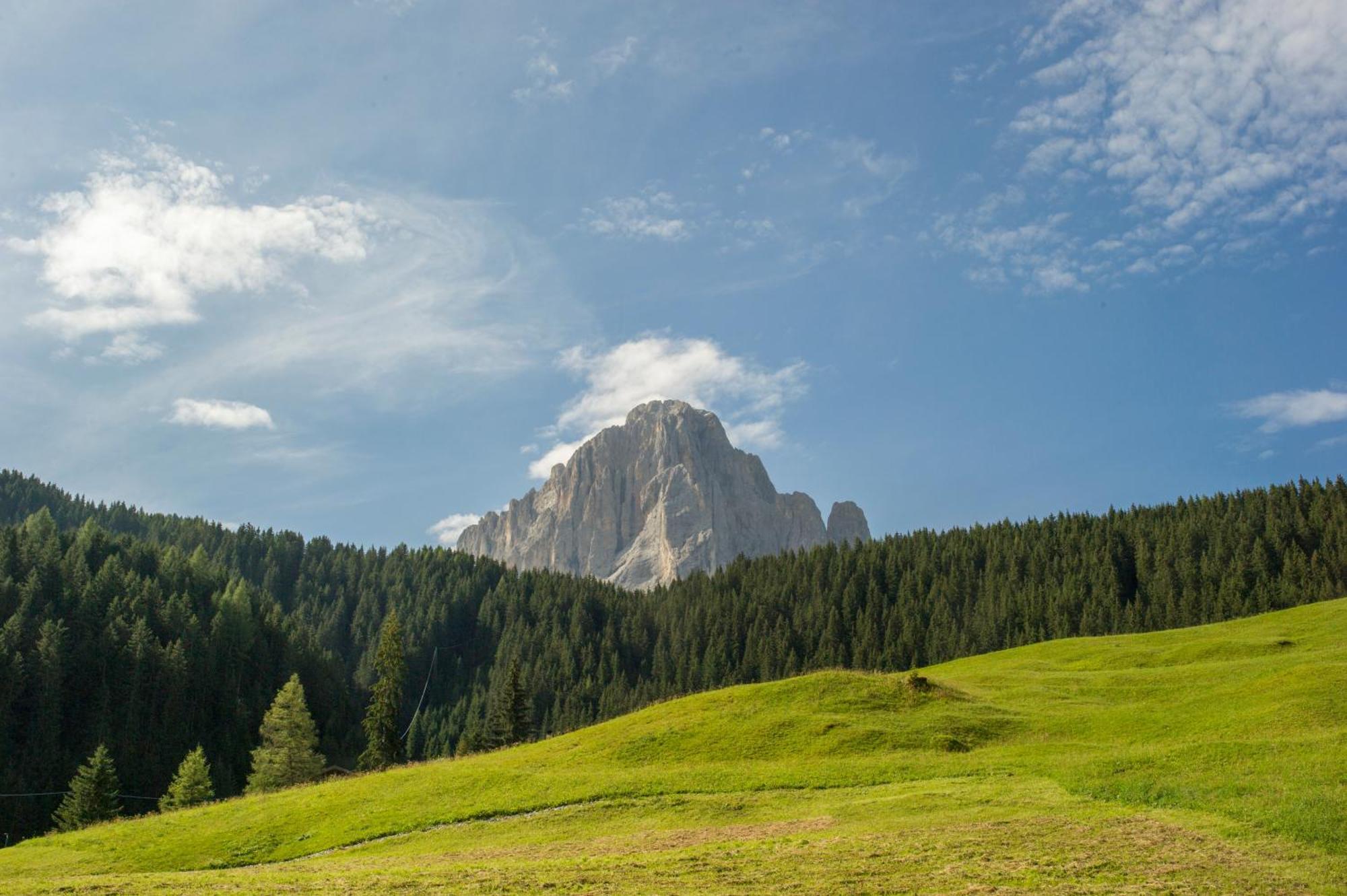 Villa Insam Selva di Val Gardena Esterno foto