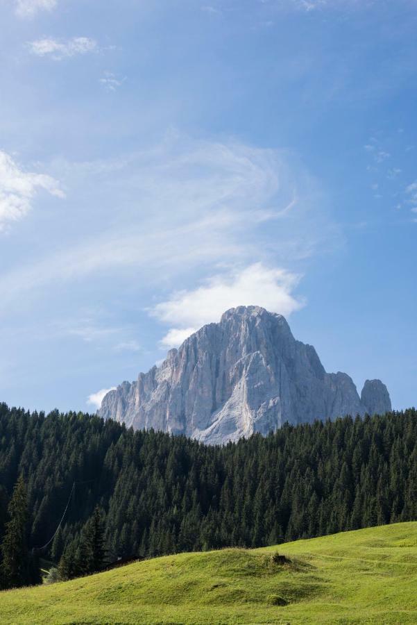 Villa Insam Selva di Val Gardena Esterno foto